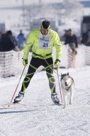 Lenk 2013